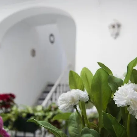 Triana Backpackers Hostal