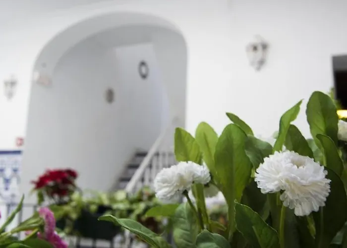 Triana Backpackers Hostel